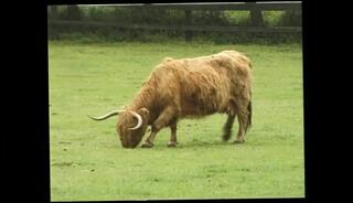 Video 1656241501: dina pearl, conny dachs, vintage anal orgy, vintage cumshot compilation, vintage blowjob compilation, orgy pussy fucked, cock riding compilation, dick cumshot compilation, cumshot compilation straight, wild vintage pussies, dick riders compilation, rough fuck orgy, vintage pussy love, outdoor fuck orgy, extreme cumshot compilation, vintage vagina, vintage cunt, cumshot compilation hd, vintage bizarre, wild pecker riding, pussy takes cock, snatch fucked, twat fucked