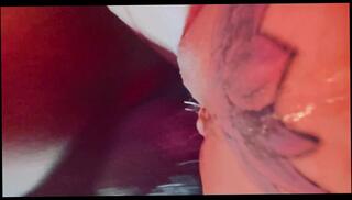 Video 1624555693: creampie cum squirting, squirting pussy creampie, squirter squirting, cum dripping pussy creampie, squirt wet dripping pussy, big ass creampie pussy, dick squirting cum, amateur squirt cum, dripping deep creampie, stroking squirting, long squirt