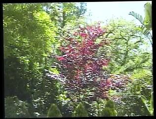 Video 1587898101: closeup interracial, blowjob fucking closeup, interracial black cock fuck, closeup ass fucking, interracial fucking big cock, interracial fuck facial, closeup blowjob cumshot, ebony interracial fuck, chick closeup, interracial outdoor fucking, ass hole closeup, vagina closeup, boobs closeup, straight interracial, pool interracial, american interracial, closeup brunette, interracial tattooed