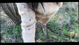 Video 1654834591: amateur pov cock sucking, pov blowjob cock sucking, brunette sucking cock pov, pov wife sucks, sucks big cock pov, cock pov blowjob outdoors, ass wife pov, cheating wife pov, housewife pov, woman pov, ass pov hd, pov straight, english pov, sucking husbands friends cock, door sucking cock, married woman sucks, wife shopping