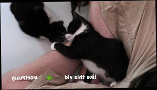 Video 1583660823: tiny hairy pussy, hairy pussy pov, tiny man pov, tiny amateur pussy, hairy pussy play, pov camera