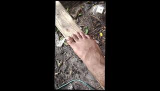 Video 1653137703: solo male feet, girl nude solo, solo girl anal, solo girl sex, solo amateur girls, arab solo girl, feet stepping, solo celebration, floridas amateurs, shop girl, girl helps