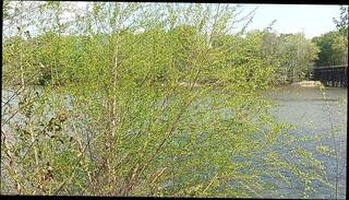 Video 1664706833: teen interracial pov, pov interracial amateur, pov solo teen, pov solo girl, pregnant solo, solo pov hot, solo male pov, interracial pov big, petite solo teen babe, big dick teen solo, petite teen solo latin, amateur mature solo, interracial muscular, interracial men