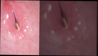 Video 1663341011: solo uncut cock masturbating, solo gay uncut cock, hairy uncut cock, hairy uncut guy, hairy nude gay, hairy straight nude, amateur uncut cock, uncut cock play, hairy european amateur, solo masturbation hd, hairy swedish