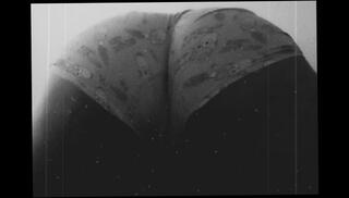 Video 1654589213: big ass amateur solo, fat ass solo, big ass ebony solo, amateur solo female, big ass cheeks, ass big daddy