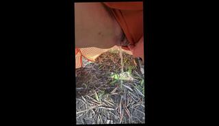 Video 1656757293: solo watersports piss, pissing peeing fetish, pov amateur solo, tits pov solo, shower peeing piss, pee pissing outdoor, solo female pissing, amateur pov sex, public pissing sex, amateur redhead pov, petite solo amateur, red pov tit, small tits pov, piss hair, pov slim, expose fetish, slim babe