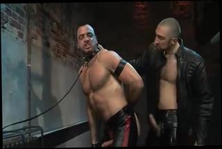 Video 953733004: bdsm fetish, gay bdsm, doggy trainning
