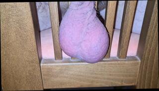 Video 1616861291: grandpa uncut cock, uncut pumped cock, hairy big uncut cock, hairy gay massage, fetish hardcore bdsm, bdsm fetish sex, rough bdsm fetish, bdsm fetish plays, massage gay sex boy, uncut cock big balls, licking hairy balls, small cock close uncut, testicle massage, grandpa huge cock, shaved uncut cock, hairy mature boy, hd massage sex, pumping stretching, ball squeezing, austrian gay, horny