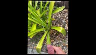 Video 1602627283: pissing peeing fetish, solo pee fetish, gay jock piss, solo squirt amateur, pee pissing outdoor, squirting pissing big, solo male piss, male pov pee, solo muscle jock, pissing big gay dick, pissing outside gay, pissing boners, piss time