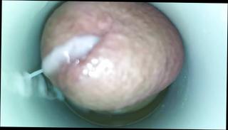 Video 364355201: masturbate cum cam, toy masturbation cum, sex toy cam, cock cum toy, amateur cam masturbation, cock big cum masturbation, gay masturbation cum, gay sex man cocks, masturbating asian cums, amateur masturbation hd, wives fucking