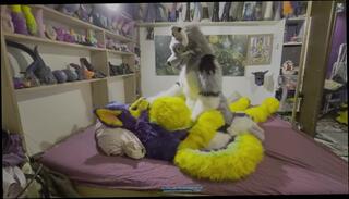 Video 1593973193: furry fetish, fetish sex fuck, amateur fetish sex, fetish rough fuck, furry cosplay, furry females, big furry, big titts fuck, pinky fuck