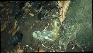 Video 1664335871: twink solo cum, solo twink jerks, twink solo big cock, twink solo cumshot, twink solo gay, solo amateur twink, condom solo, twink handjob cum, twink latino cum, twink jerking outdoor, solo man cum, guy condom, twink hd