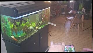 Video 1656453663: dildo fucks ass pussy, dildo fuck hot ass, mom dildo fucked, dildo fuck jerk, sex dildos fuck, dildo fucking amateur, dildo fuck cumshot, hot brunette dildo fucking, dildo masterbation, slutty dildo, dildo mutual, college dildo, ass fucked babysitter, moms teach sex, slutty mate