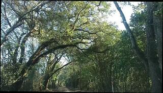 Video 1658713813: pov interracial bbc, interracial wife bbc, bbc pov amateur, bbc interracial sex, interracial bbc fuck, bbc interracial cheating, interracial bbc latin, interracial bbc hard, pov bbc ebony, hot interracial bbc, solo male bbc, interracial bbc big, big dick amateur bbc, bbc boss fucks, bbc fuck public, solo muscular male, men bbc, man wife