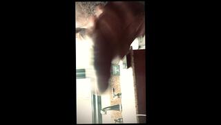 Video 1663468893: bbc solo cumshot, solo male bbc, big dick amateur bbc, bbc handjob cumshot