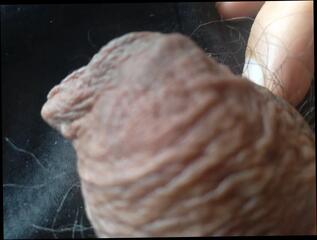 Video 1657860601: hairy hunk bareback, hairy solo cum, hairy cock solo, hairy gay bareback, hairy bareback fuck, hairy dick solo, hairy teen solo, fetish gay solo, hairy man solo, gay sex bareback boy, monster cock solo cum, hairy big cock cum, bareback black cock fucks, latino gay bareback sex, boys bareback hot fuck, fucking bareback hd, big penis