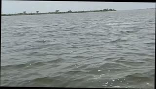 Video 1664497505: solo busty amateur, tits boobs busty, busty european amateur, busty women, giant busty, massively busty, busty shower, wet busty, bathroom solo