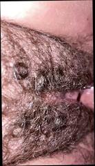 Video 1507028401: hairy wife creampie, hairy pussy creampie, hairy pussy cream pie, homemade hairy wife, hairy pussy mom, hairy pussies straight, fat hairy wife
