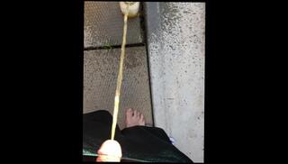 Video 1611655243: pee piss urine, pissing peeing fetish, solo pee fetish, uncut cock pee, uncut dick piss, pee desperation pissing, pee pissing outdoor, solo male pee, big cock dick uncut, amateur uncut cock, pee moaning, first uncut cock, amateur public piss, amateur mature solo, bathroom pee, 60fps amateur