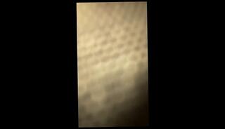 Video 1658050743: bbw bbc creampie, bbc pov creampie, bbc creampie slut, caught pov hardcore, pov creampie big ass, pov amateur bbw, homemade pov creampie, dick bbc pov, bbc ebony creampie, cheating amateur bbw ebony, pov college slut, wife pussy, broken slut