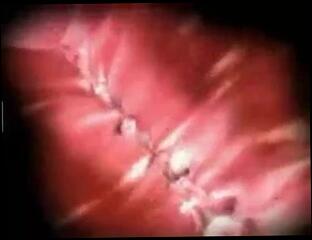 Video 141988601: 3d cartoon animated, big titted 3d anime, animated riding, bounce anime, riding straight