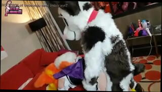 Video 1112255295: furry porn, furry cum, furry pussy, furry ass, bukkake porn, tight furry