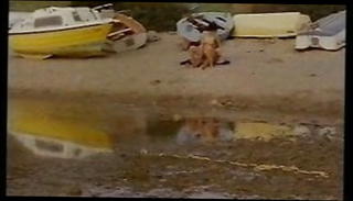 Video 1571535481: vintage retro, hairy retro, vintage straight, greek vintage, european retro, greek porno