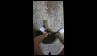 Video 1657567373: solo pee, shemale solo trans, asian shemale solo cumshot, big ass shemale solo, solo shemale babe, solo amateur trans, ladyboy solo cumshot, shemale public solo