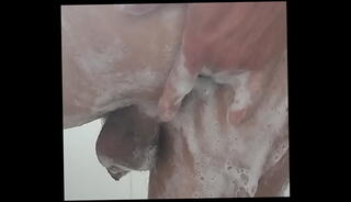 Video 1654952155: transsexual shemale