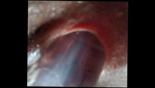 Video 1489495345: tranny shemale trans, tranny pussy fucking, tranny fucked hard
