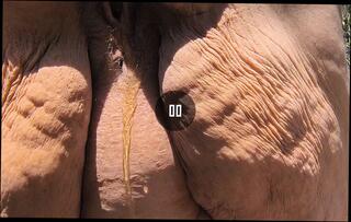 Video 1654544211: cougar milf pussy, milf pissing outdoors, ssbbw milf, pussy pissing close, english milf pussy, cougar blows, pussy american milf, piss straight, clothed cougar, ssbbw shower, pissing hd