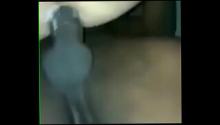 Video 1345963625: interracial gay hard, interracial cum, ass cum