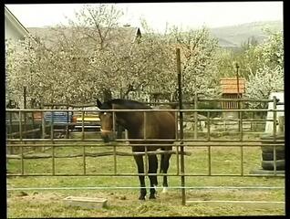 Video 1658838051: skinny teen pussy, skinny teen fucked, skinny redhead teen, skinny teen beauty, sweet skinny teen, skinny teen outdoor, shaved pussy skinny, cute skinny teen, lovely skinny teen, old skinny teen, skinny facial, skinny straight, 18 years old skinny, thin skinny, slim skinny