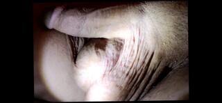 Video 1656191011: cock solo handjob, gay solo handjob, penis massage, balls massage, big cock solo, man massage, solo american, solo hd