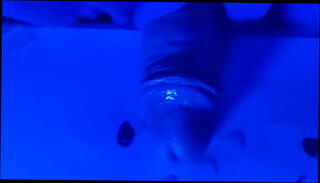 Video 1591889055: fetish slave, cock slave, slave extreme