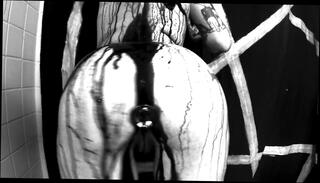 Video 370573701: tits busty big boobs, busty striptease, busty goth, busty black ebony, busty shower, tits straight