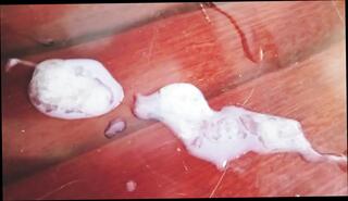 Video 1657493251: gay bareback twink boy, twink boys bareback fuck, bareback twink sucking cock, bareback twink gay sex, twink bareback fucking teen, twink bareback fucking amateurs, twink boy friends bareback, twink femboy boy, cute femboy twink fucks, twink big cock bareback, gay asian twink bareback, twink femboy masturbates, barebacks young twink gay, homemade twinks bareback, twinks bareback cumshot, twink first time bareback, cock sucking straight twink, twink sucks huge cock, twink gay guys fuck, twink fuck old gay, gay twink handjob, old teen twink, giant cock bareback, twink sex hd, 18 year old femboy, twinks family, femboy close