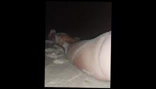 Video 1594971513: fetish double penetration, solo double penetration, fetish solo masturbation, hardcore double penetration sex, double penetration fisting, double penetration orgasm, double penetration cumshot, double fisting amateur, solo masturbation moaning, double cumshot handjob, double penetration outdoors, solo female moaning, dirty talk sex, outdoor beach sex