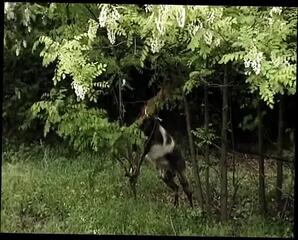 Video 1664669111: retro lesbian babes, lesbians kissing licking pussy, horny lesbian pussy licking, lesbian babes lick cunts, lesbian pussy licking masturbation, lesbian pussy licking outdoors, lesbian eating licking pussy, european lesbian pussy licking, lesbian licking twat, blonde lesbians licking pussy, lesbian snatch licking, horny naughty lesbian, lesbian pussy pleasure, super horny lesbian, perfect lesbian babes, lesbian vagina, lesbian straight, lesbian female