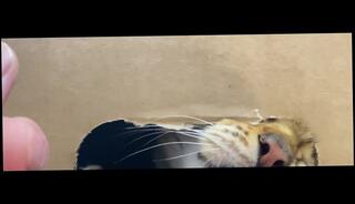 Video 1580092023: 3d hentai futanari, 3d hentai creampie, pussy 3d hentai, cum 3d hentai, cumshot pee compilation, compilation cumshots fetish, amateur creampie compilation, 60fps 3d hentai, japanese 3d hentai, public pee compilation, pussy licking pee, cum inside pussy compilation, pussy mouth creampie, peeing naked, 3d virtual, licking stuff