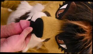 Video 1661874033: furry blowjob, furry sex, furry cum, furry cosplay, amateur blowjob cum, blowjob rough sex