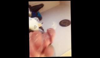 Video 1626084293: skinny guy solo, dick solo masturbating cumming, cock masturbation solo cumshot, solo male masturbation moaning, solo masturbation cum shot, solo big dick cumshot, amateur solo male masturbation, solo masturbation hot guy, massive dick solo, solo men masturbating, dick bukkake, solo public masturbation, cum load solo, solo muscular male