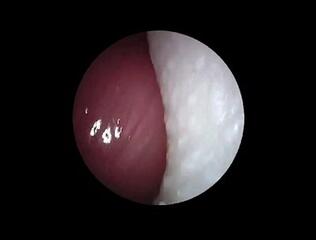 Video 1662549723: pussy solo orgasm, amateur solo pussy, amateur solo big tits, amateur webcam solo, inside virgin pussy, old virgin pussy, solo male orgasm, blonde solo pussy, solo sperm, nude solo, 18 year old virgin, italian solo, school solo, solo college, orgasmo amateur