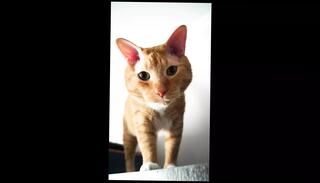 Video 1620391951: squirting gaping ass, doggy fucking squirt, gaping ass fetish, gaping oiled, gaping ass fucked teen, deep throat doggy fuck, couple homemade doggy, gaping ass hole fucked, blow job doggy, oiled ass play, ass gaping european, natural ass gape, oil fuck brunette, squirting straight, dark fetish, oil hd, older couple fucking, naked