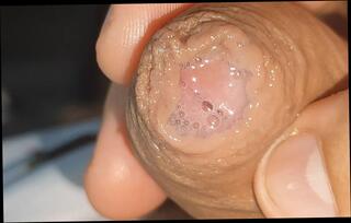 Video 1665861471: solo uncut cock masturbating, solo gay uncut cock, uncut cock bareback, big uncut cock bareback, hairy uncut big dick, hairy bareback fuck, hairy solo cum, hairy amateur bareback, hairy teen solo, hairy young men bareback, bareback virgin, hairy man solo, virgin boy gay porn, virgin boy gay sex, uncut cock masturbation cumshot, amateur homemade solo masturbation, muscular boys bareback fuck, boys bareback hot fuck, bareback homosexual sex, cum solo monster dick, fucking hot bareback blowjob, virgin boy first time, massive cock bareback, solo masturbation hd, huge straight