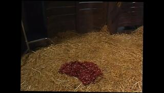 Video 1656486571: bonnie heart, retro doggy style, doggy style missionary ride, missionary doggy style sex, fuck doggy style missionary, blowjob doggy style missionary, couple doggy style sex, doggy style sex teen, tits fucked doggy style, doggy style hot couple, petite fucked doggy style, small tits doggy style, doggy style fucking blonde, doggy style straight, doggy style pleasuring, doggy style hd