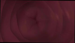 Video 1656776321: 3d animation futa, 3d anime shemale, 3d futa fucking, hd 3d animation, shemale home