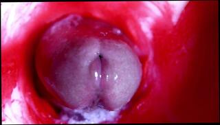 Video 1663693613: fetish solo masturbation, solo masturbation pussy toying, solo anal toy masturbation, solo male masturbation moaning, hot solo pussy masturbation, hard dick masturbating solo, solo masturbation hard cock, anal big cock fetish, big ass solo masturbation, solo amateur toys, fetish blowjob anal, solo masturbation inside, fetish vagina, solo close cock, romantic solo, camera solo