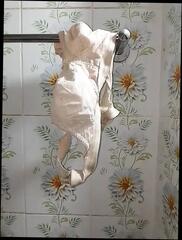 Video 1662873821: bangs young stud, stud fucks boy, gay young studs fuck, stud fucks teen, stud gay sex, stud masturbating, bathroom banging, indian stud, 18yo teen masturbating, bangladeshi teen boy