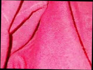 Video 1622847491: puffy nipples masturbates, puffy nipple girl, pussy puffy nipples, puffy nipples sexy, puffy pussy ass, tits big puffy nipples, puffy pussy teen, perfect puffy pussy, beautiful puffy, hot puffy, desi girl pussy masturbation, pussy sex desi girls, sexy indian girl masturbating, young sexy girl masturbating, masturbate pussy female orgasm, sexy straight teen, pussy very hot sexy, girl 18 year masturbation, masturbating pussy together, girl masturbating hottest, sexy girl takes big, son's teen girl, old indian girl sex, girl masturbation hd, lustful hot sex, masturbating hand
